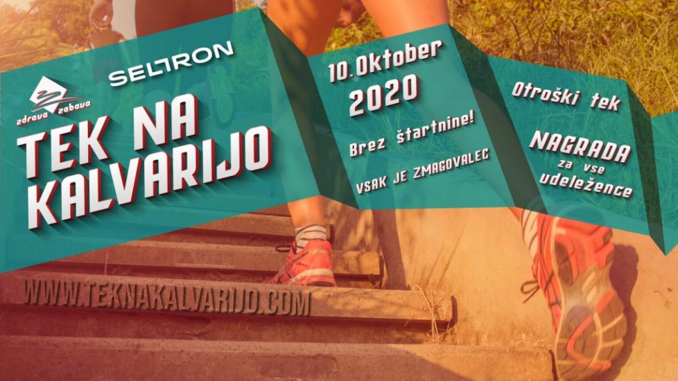 Web-ntnk2020-seltron_background